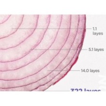 Isntree - Onion Newpair Essence Toner