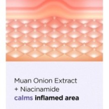 Isntree - Onion Newpair Spot Patch Basic