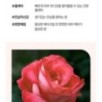 Isntree - Real Rose Calming Mask 100ml