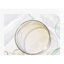 Isntree - TW-Real Eye Cream 30ml