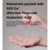 Isntree - Ultra-low Molecular Hyaluronic Acid Mask Set