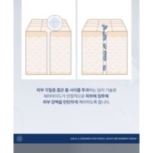 Anua - 3 Ceramide Panthenol Moisture Barrier Cream