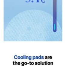 Isntree - Ultra-Low Molecular Hyaluronic Acid Zinc Cooling Pad