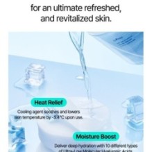 Isntree - Ultra-Low Molecular Hyaluronic Acid Zinc Cooling Pad