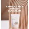 Isntree - Yam Root Milk Tone Up Sun Cream