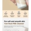 Isntree - Yam Root Vegan Milk Cleanser