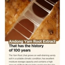 Isntree - Yam Root Vegan Milk Cleanser