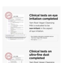 Isntree - Yam Root Vegan Milk Cleanser