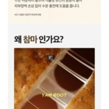 Isntree - Yam Root Vegan Milk Cream