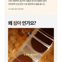 Isntree - Yam Root Vegan Milk Toner