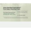 Anua - Heartleaf Quercetinol Pore Deep Cleansing Foam