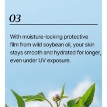 mixsoon - Bean Sun Stick