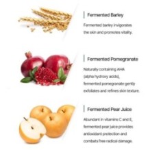 mixsoon - Bean Travel Kit