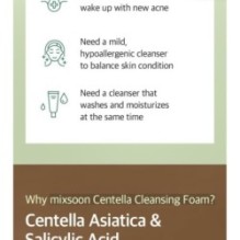 mixsoon - Centella Cleansing Foam
