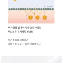 mixsoon - Centella Sun Cream