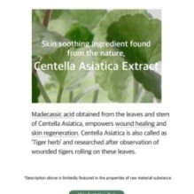 mixsoon - Essence - 12 Types