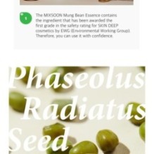 mixsoon - Essence - 12 Types