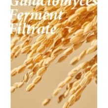 mixsoon - Essence - 12 Types