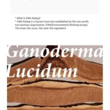 mixsoon - Essence - 12 Types