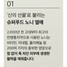 mixsoon - Essence - 12 Types