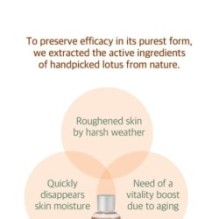 mixsoon - Essence - 12 Types