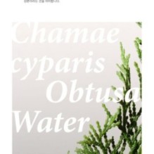 mixsoon - Essence - 12 Types