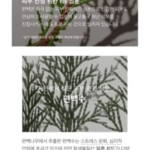 mixsoon - Essence - 12 Types