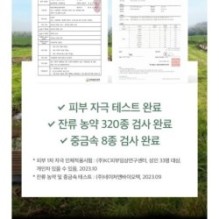 mixsoon - Essence Mini - 3 Types