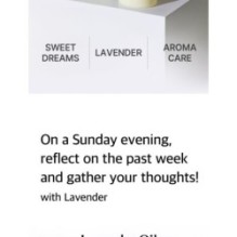 mixsoon - Essential Blending Oil - 6 Types