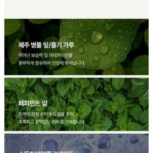 mixsoon - Green Cica Modeling Pack Set