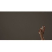 mixsoon - H.C.T. Mist