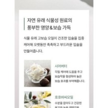mixsoon - Natural Bean Lip Mask Balm