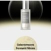 mixsoon - Premium Galactomyces Serum