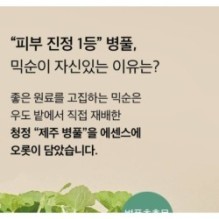 mixsoon - Soondy Centella Asiatica Essence Stick Pouch Set 10pcs