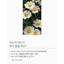 mixsoon - Toner 300ml - 5 Types