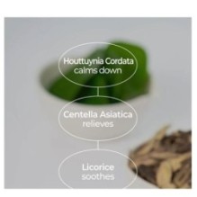 numbuzin - No.1 Centella Re-Leaf Green Toner Pad