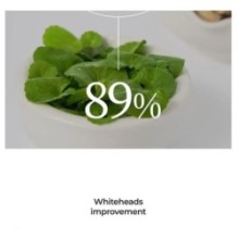 numbuzin - No.1 Centella Re-Leaf Green Toner Pad