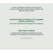 Anua - Heartleaf Quercetinol Pore Deep Cleansing Foam