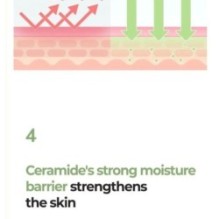 numbuzin - No.2 Cica Ceramide Repair Cream