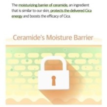 numbuzin - No.2 Cica Ceramide Repair Cream