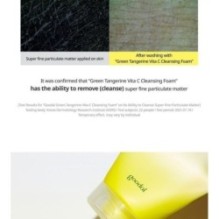 Goodal - Green Tangerine Vita C Cleansing Foam