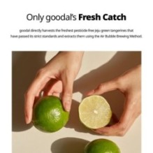 Goodal - Green Tangerine Vita C Dark Spot Care Serum Mask