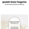 Goodal - Green Tangerine Vita C Dark Spot Care Serum Mask Set
