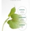 Goodal - Heartleaf Calming Mineral Filter Sun Cream