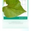 Goodal - Heartleaf Soothing Green Tone Up Sun Cream
