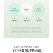 Goodal - Ice Heartleaf Hyaluron Soothing Jelly Mask