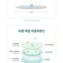 Goodal - Ice Heartleaf Hyaluron Soothing Jelly Mask