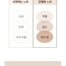 Goodal - Peony Peptide Volume Ampoule