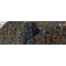 Goodal - Vegan Rice Milk Moisturizing Toner