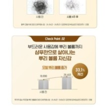 CKD Guaranteed - Amino Biotin Brewer's Yeast Shampoo